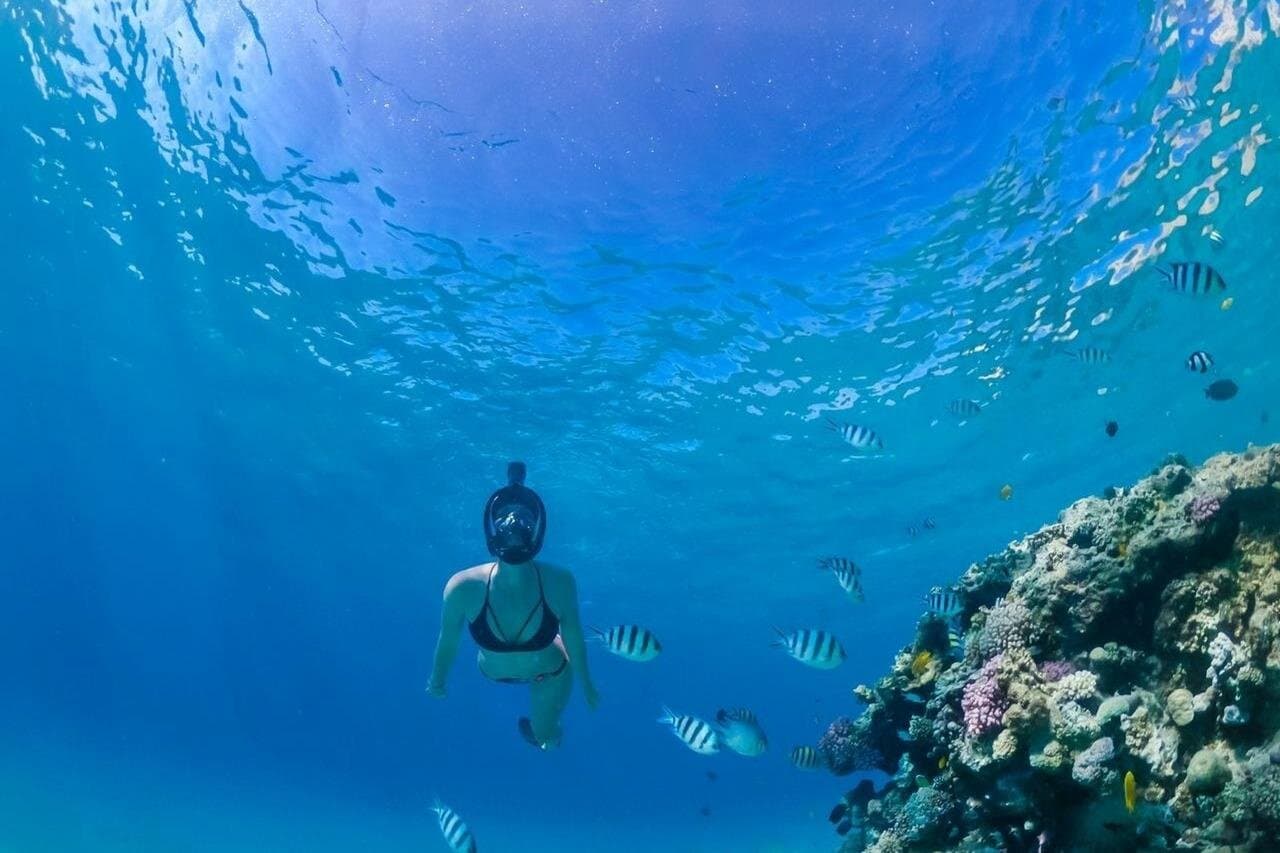 Hurghada Full Day Snorkeling Trip with Lunch Drinks Transfer