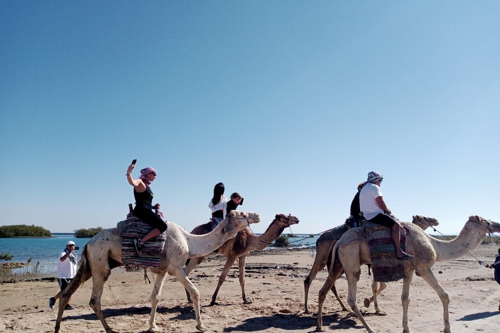 Camel Ride 2 Hours in the Desert & Sea with Transfer : Hurghada