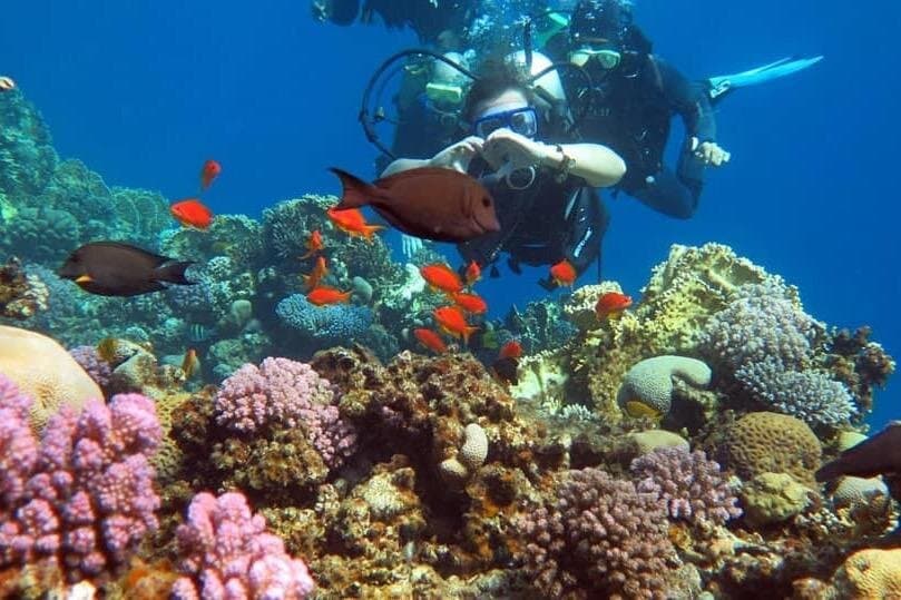 Beach Introduction Dive