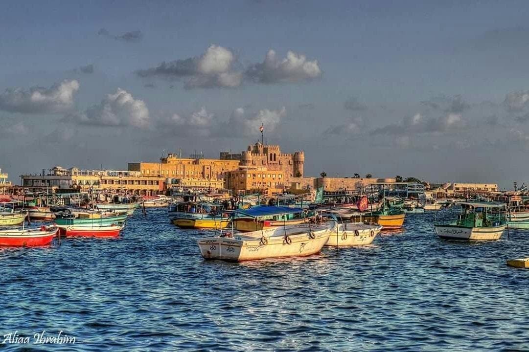 Alexandria city full day tour.