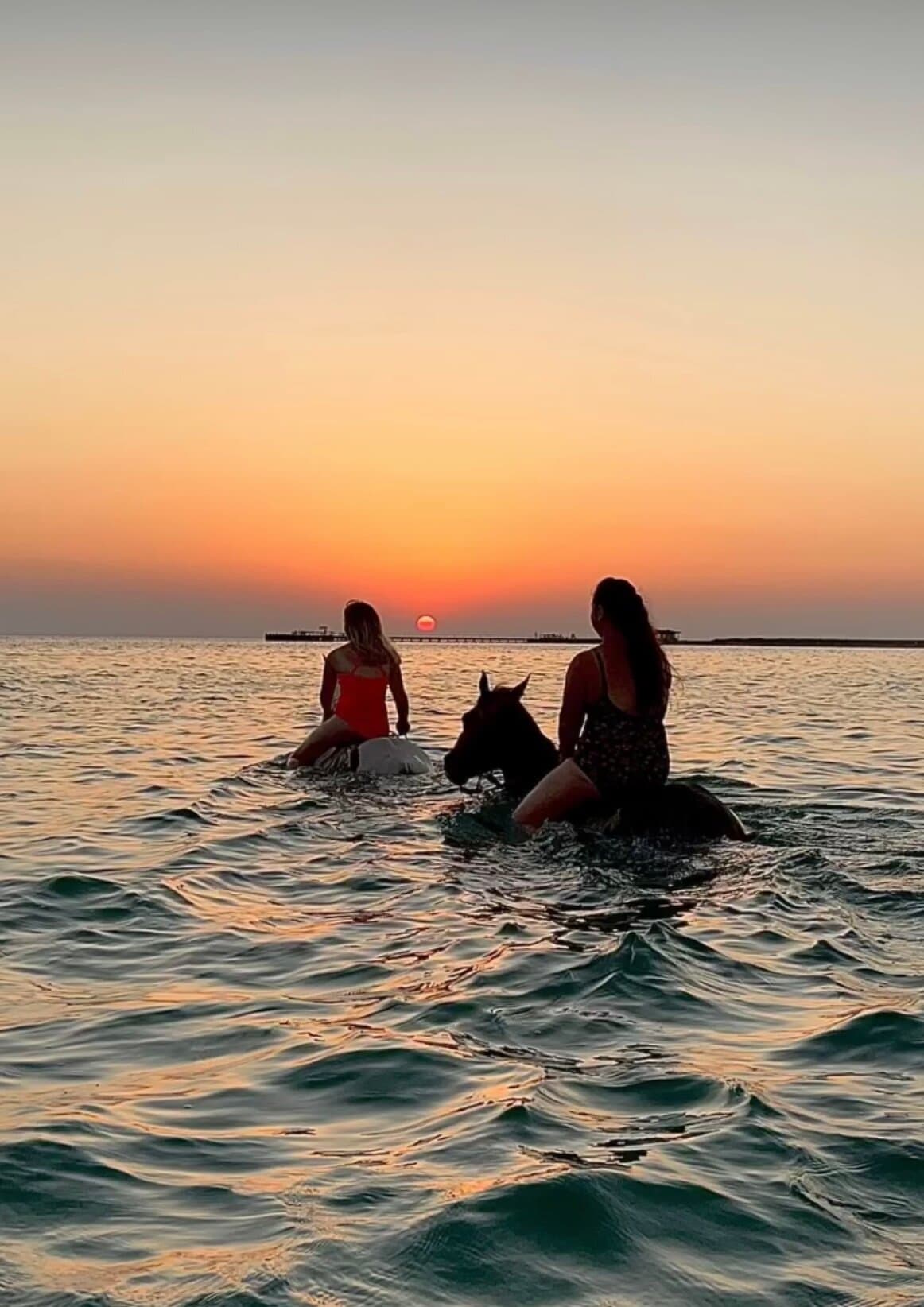 Horseback Riding Swimming Desert and Beach Hurghada