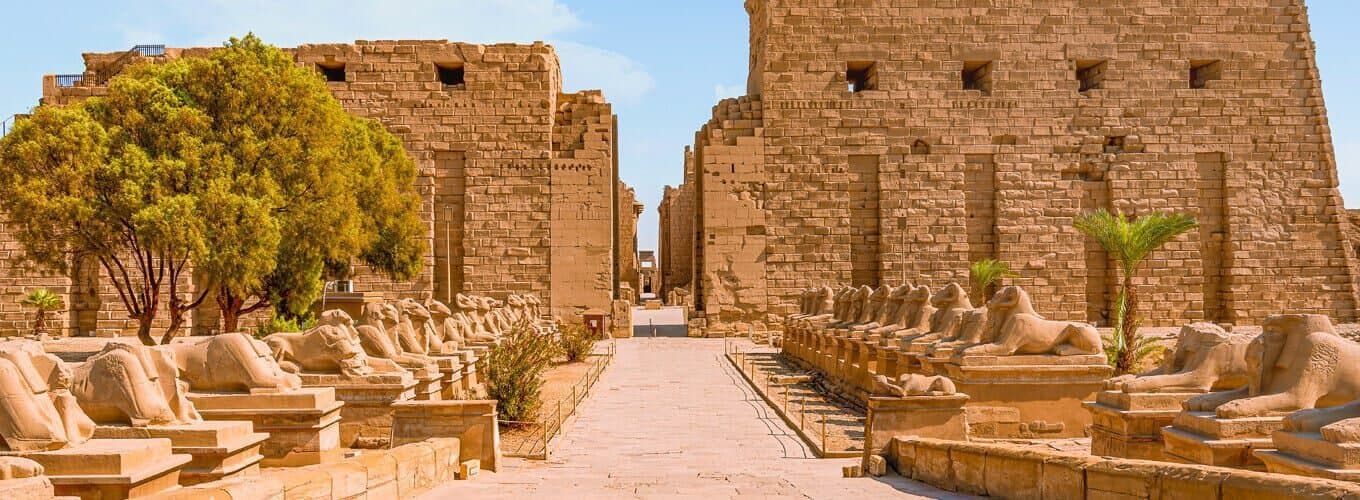 Private Luxor East Bank Karnak and Luxor Temple with Local Guide