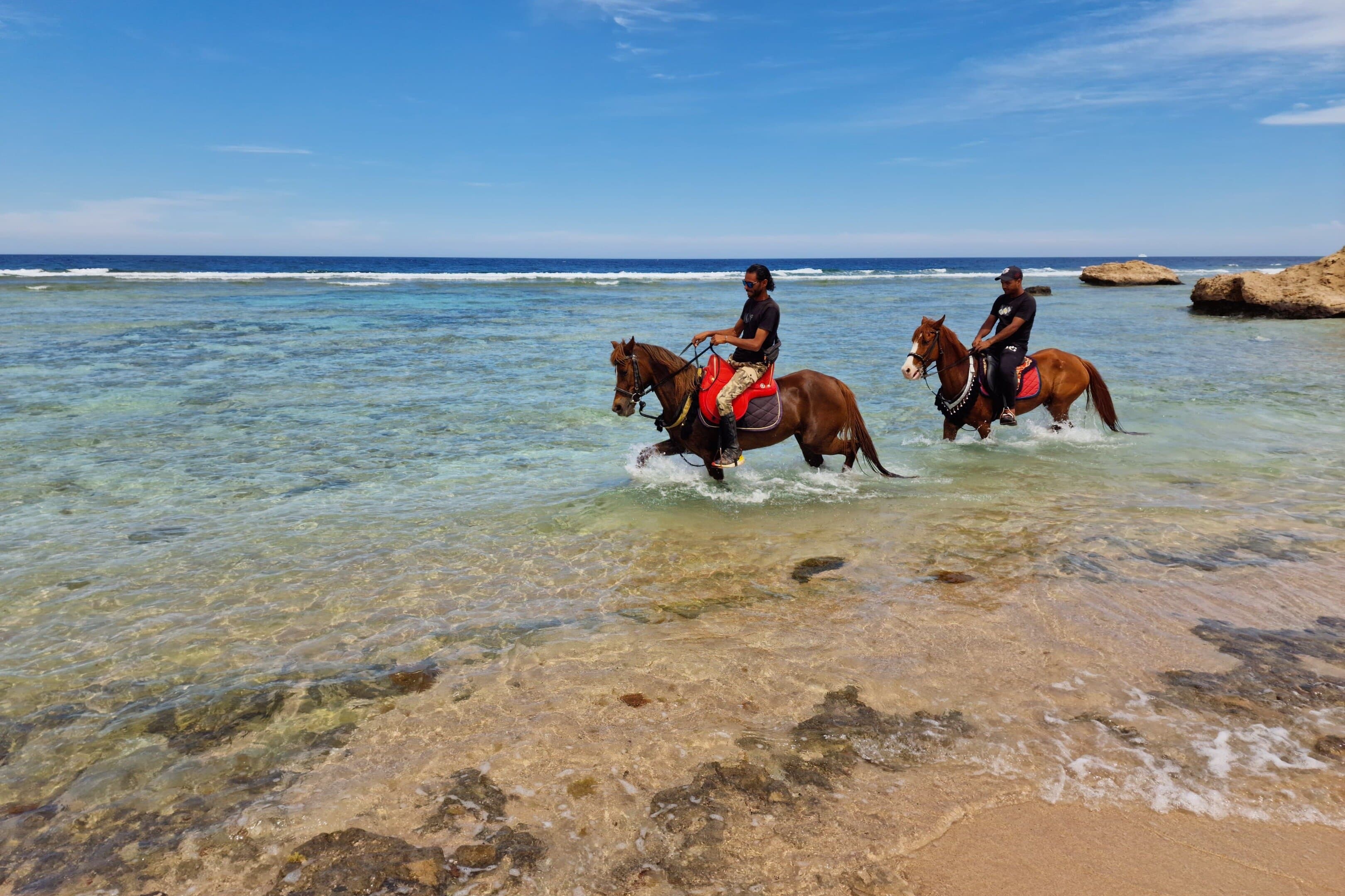 Horseback Riding Adventures in Makadi Bay
