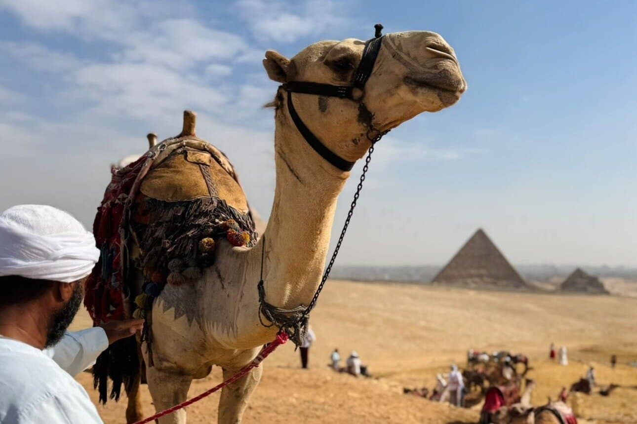 All-Inclusive Private Tour: Pyramids, Grand Museum & Nile Felucca