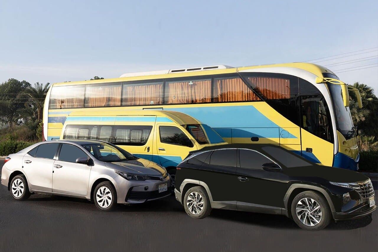 Private Transfer from Aswan to Aswan Airport
