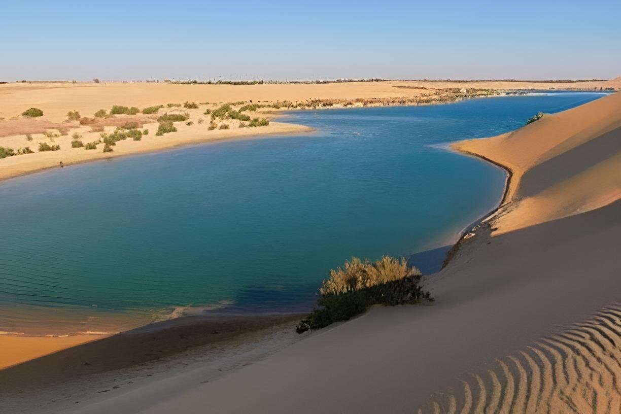 Fayoum Oasis & Desert Safari Day Tour from Cairo