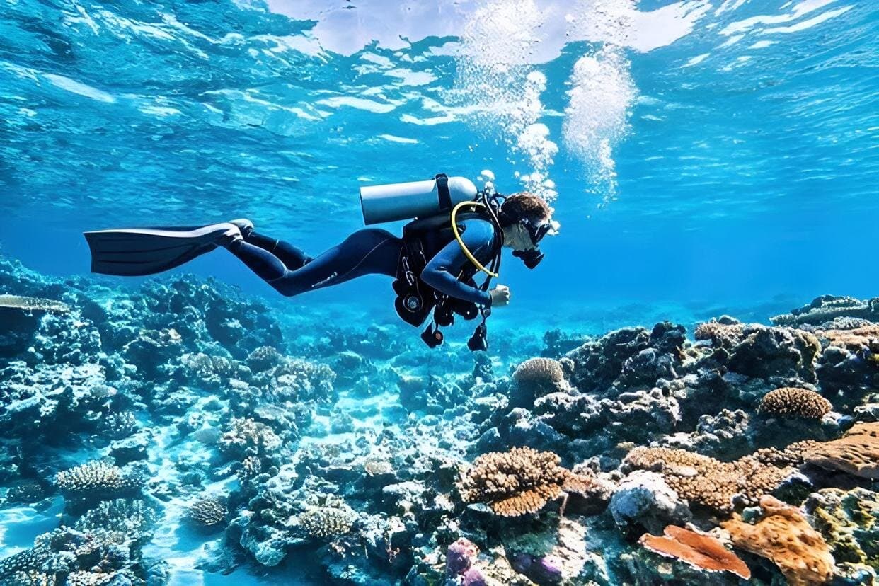 3-in-1 Orange Bay, Dolphin House, Scuba Diving Cruise in Hurghada