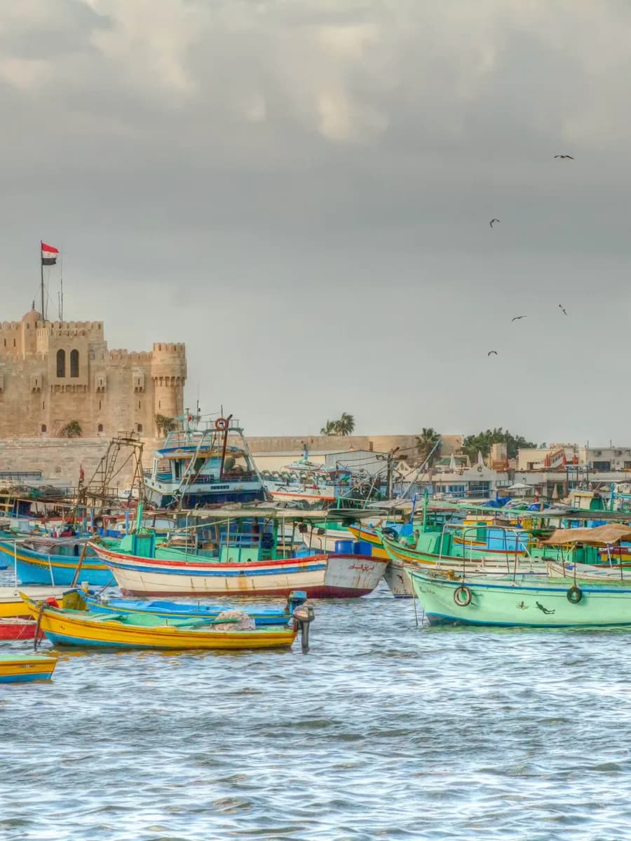 Alexandria