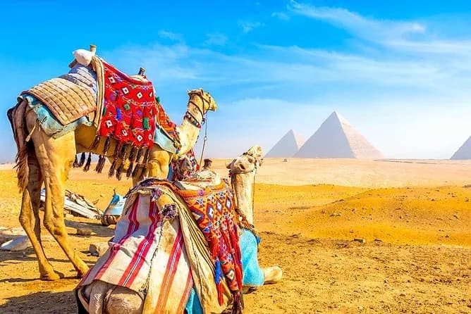 Tour to Pyramids & The Grand Egyptian Museum